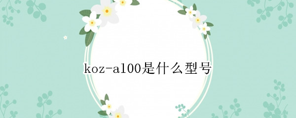 koz-al00是什么型号（koz-al00是什么型号手机）