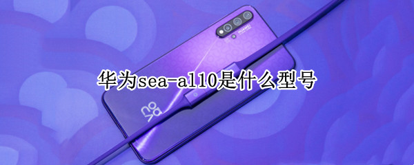 华为sea-al10是什么型号（华为sea-al10是什么型号,自带美颜功能吗）