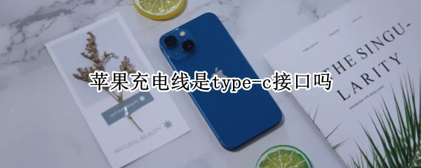 苹果充电线是type-c接口吗 苹果手机充电器是type-c接口吗