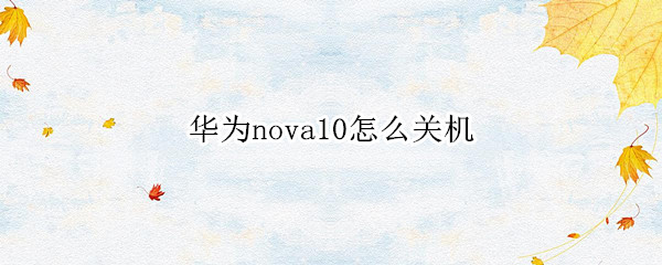 华为nova10怎么关机（华为nova6怎么关机）