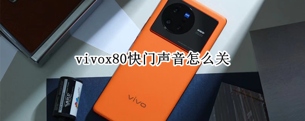 vivox80快门声音怎么关（x280快门怎么调）