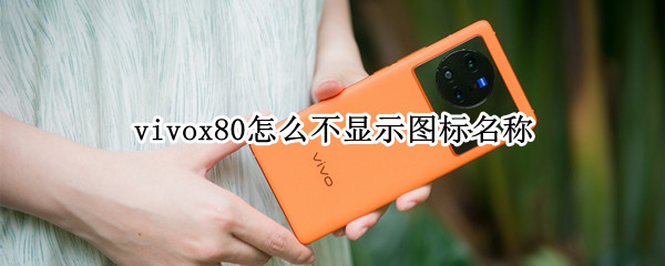 vivox80怎么不显示图标名称（vivo手机桌面图标不显示名称）