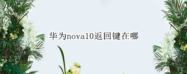 华为nova10返回键在哪 华为nova 屏幕返回键在哪