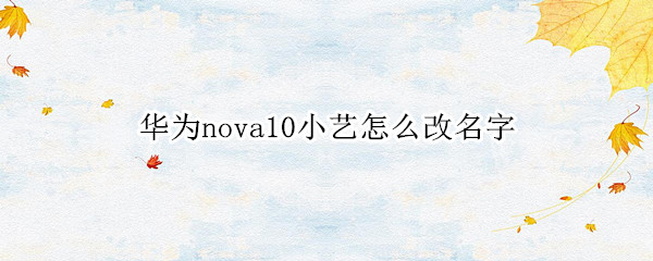 华为nova10小艺怎么改名字 华为nova6小艺小艺怎么改名字