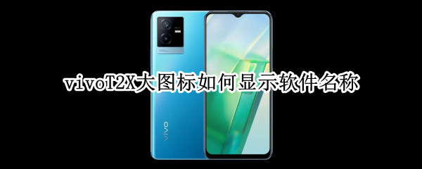 vivoT2X大图标如何显示软件名称 vivox23怎么设置图标大小