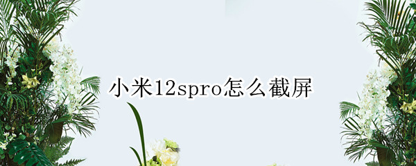 小米12spro怎么截屏 小米11pro截屏怎么弄