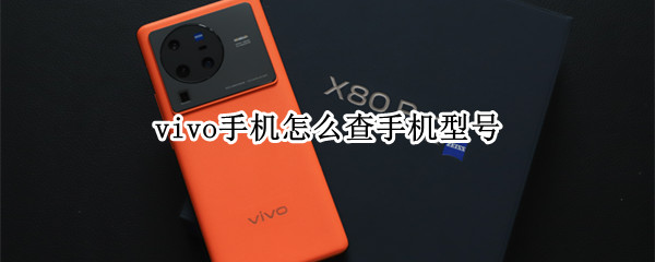 vivo手机怎么查手机型号 vivo手机型号怎样查