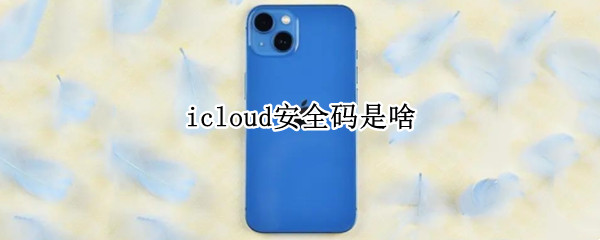 icloud安全码是啥（iphone登陆icloud安全码是什么）