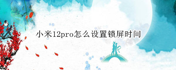 小米12pro怎么设置锁屏时间（小米11pro锁屏时间）