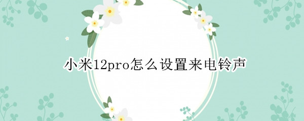 小米12pro怎么设置来电铃声（小米11pro怎么下载铃声）