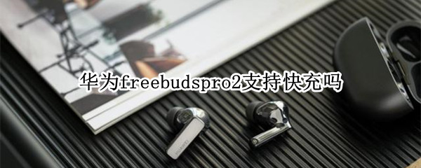 华为freebudspro2支持快充吗（华为freebuds pro支持快充吗）