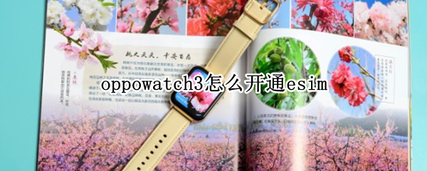 oppowatch3怎么开通esim 怎么连接oppowatch2