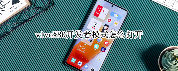 vivoX80开发者模式怎么打开（vivo x7怎么打开开发者模式）