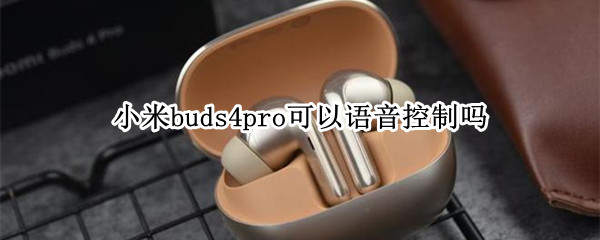 小米buds4pro可以语音控制吗（buds+耳机小米手机）