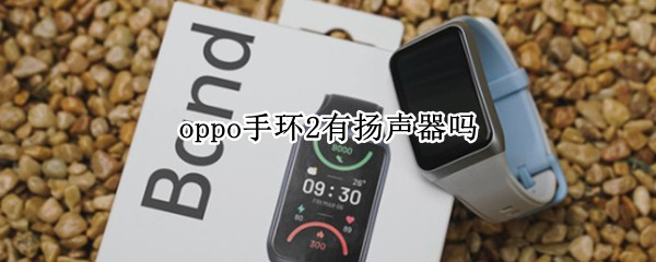 oppo手环2有扬声器吗（oppowatch2有扬声器吗）