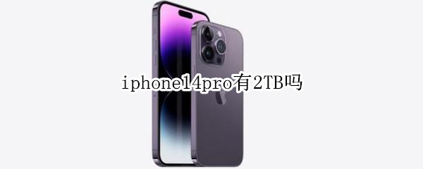 iphone14pro有2TB吗（iphone12pro有256G吗）