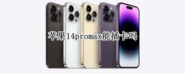 苹果14promax能插卡吗（苹果12promax可以插内存卡吗）