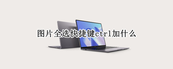 图片全选快捷键ctrl加什么 wps图片全选快捷键ctrl加什么