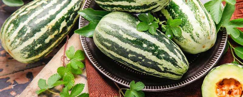 6月份种甜瓜晚不晚（6月中旬可以种甜瓜吗）