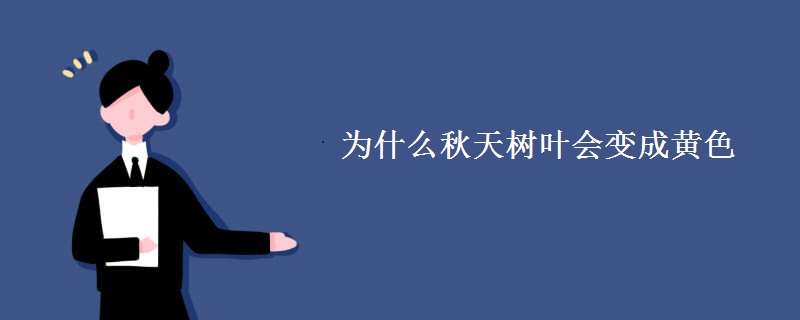 为什么秋天树叶会变成黄色 为什么秋天树叶会变成黄色?