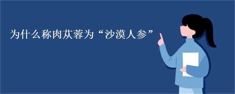 为什么称肉苁蓉为沙漠人参 有“沙漠人参”之称的苁蓉,寄生在哪种植物根部