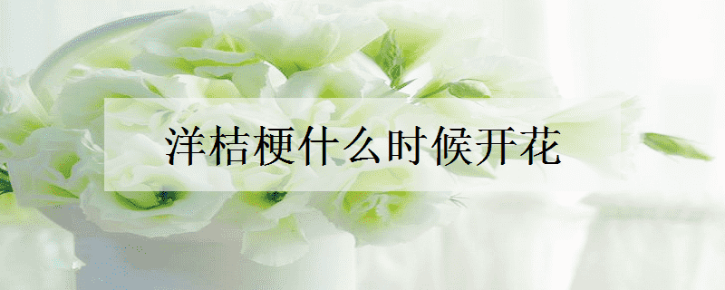 洋桔梗什么时候开花（洋桔梗什么时候开花一年开几次花）