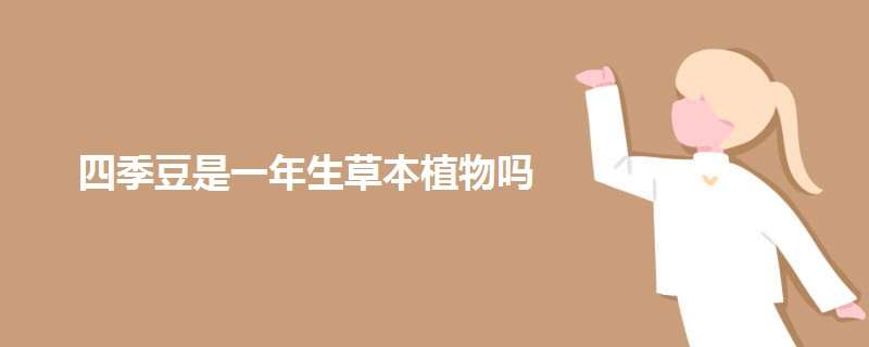 四季豆是一年生草本植物吗 四季豆是一年生草本植物吗