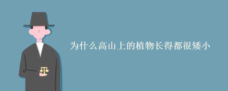 为什么高山上的植物长得都很矮小 为什么高山上的植物相对矮小