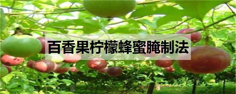 百香果柠檬蜂蜜腌制法