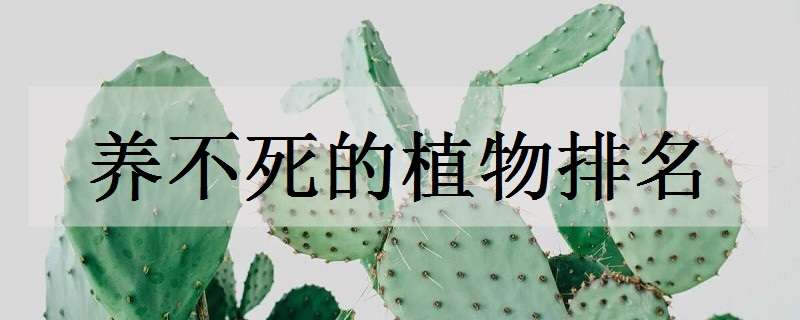 养不死的植物排名（养不死的植物排名 排名第一竟然是它）