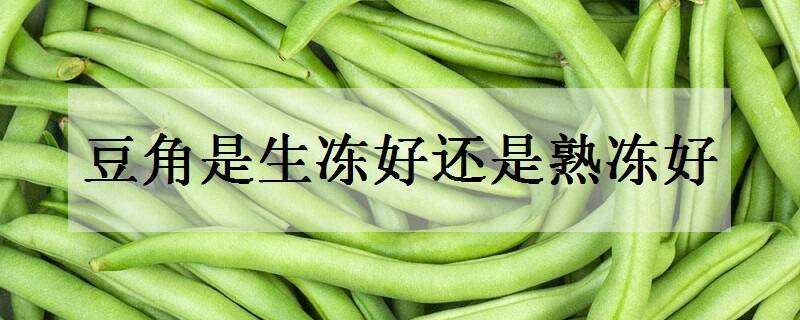 豆角生冻好还是熟冻好（豆角生冻好还是熟冻好?）