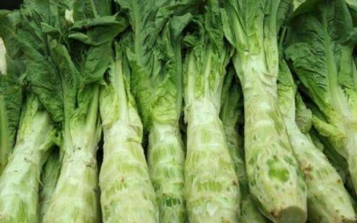 莴笋生长期几个月（为什么尽量少吃莴笋）