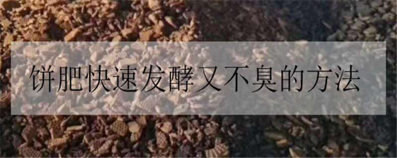 饼肥快速发酵又不臭的方法 饼肥快速发酵又不臭的方法视频