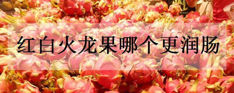 红白火龙果哪个更润肠 火龙果白的和红的哪个更清肠