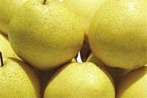 雪梨和皇冠梨哪个止咳（雪梨和皇冠梨哪个止咳好）