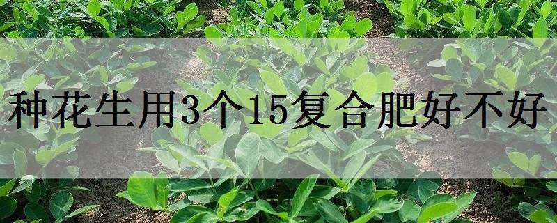 种花生用3个15复合肥好不好 种花生每亩施多少复合肥