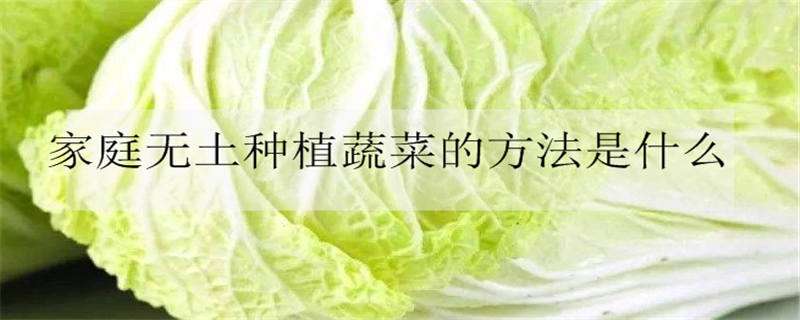 家庭无土种植蔬菜的方法是什么（家庭无土种植蔬菜的方法是什么呢）