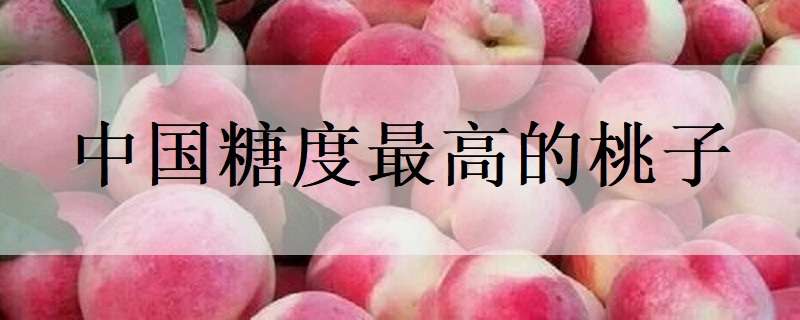 中国糖度最高的桃子（中国糖度最高的桃子品种）