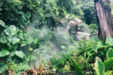 厦门植物园门票多少钱（厦门植物园门票多少钱一张）