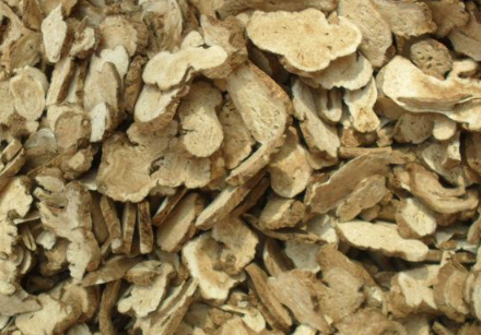 白术根部病害的种类（白术根部病害的种类有哪些）