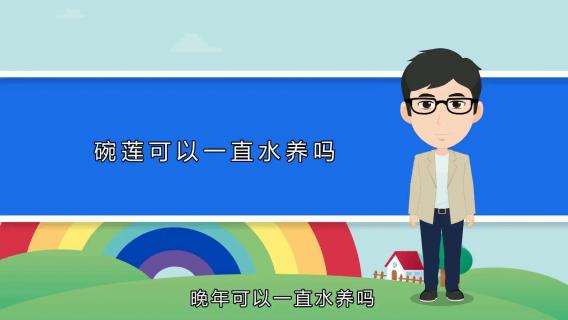 碗莲可以一直水养吗 碗莲可以一直水养吗我种的碗莲为什么长出水面会死掉