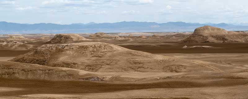 土地盐碱化主要分布地区 土地盐碱化主要分布在我国什么地区