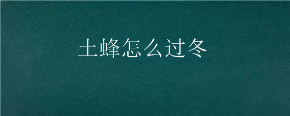 土蜂怎么过冬 土蜂过冬如果气温到0下峰会冻死吗