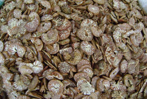 槟榔 槟榔的危害性多大