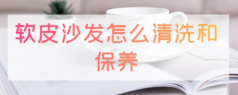 软皮沙发怎么清洗和保养（皮沙发怎么清洗及保养）