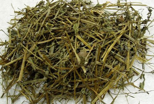 半枝莲 半枝莲的作用与功效