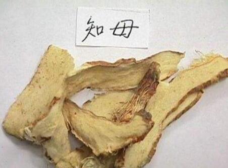 知母有什么功效呢 知母什么作用与功效