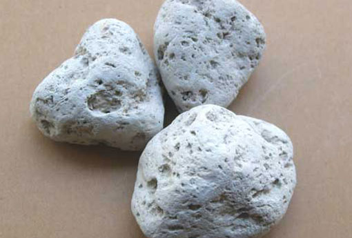 海浮石（海浮石的别名叫什么）