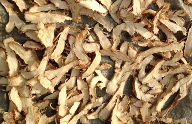 生知母的功效与作用 生知母的功效与作用对肝有影响吗?