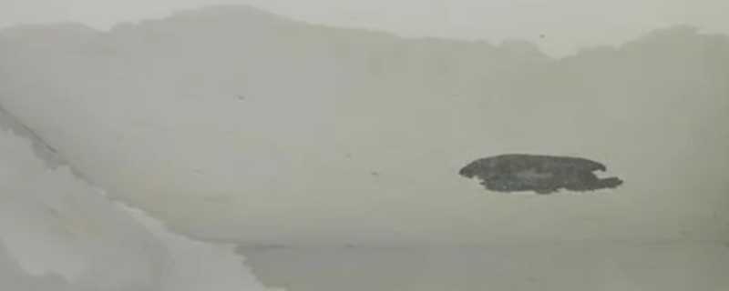 楼上漏水漏到楼下应该由谁负责呢（楼上漏水漏到楼下应该由谁负责呢）